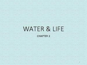 WATER LIFE CHAPTER 3 1 Hydrogen Bonding Hydrogen