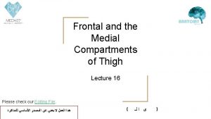 Frontal and the Medial Compartments of Thigh Lecture