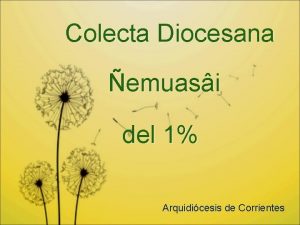 Colecta Diocesana emuasi del 1 Arquidicesis de Corrientes