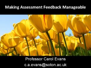Making Assessment Feedback Manageable Professor Carol Evans c