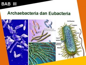 BAB III Archaebacteria dan Eubacteria Tujuan Pembelajaran Setelah