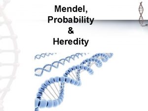 Mendel Probability Heredity GREGOR MENDEL The Father of