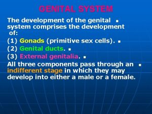 GENITAL SYSTEM The development of the genital n