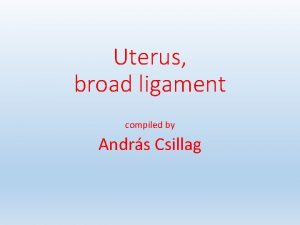 Uterus broad ligament compiled by Andrs Csillag Putz