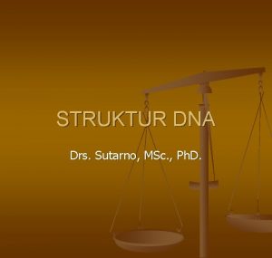 STRUKTUR DNA Drs Sutarno MSc Ph D Komponen
