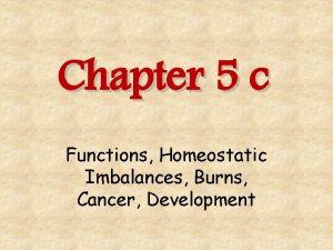 Chapter 5 c Functions Homeostatic Imbalances Burns Cancer