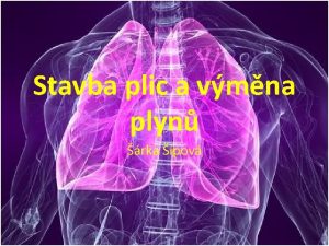 Stavba plic a vmna plyn rka pov Stavba