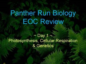 Panther Run Biology EOC Review Day 1 Photosynthesis