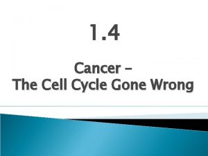 1 4 Cancer The Cell Cycle Gone Wrong