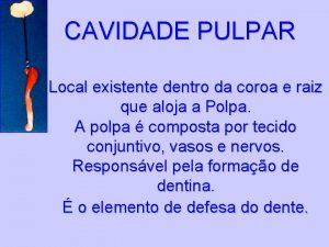 CAVIDADE PULPAR Local existente dentro da coroa e