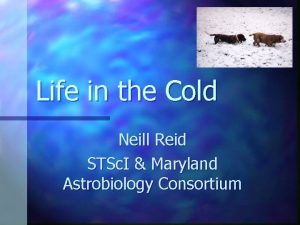 Life in the Cold Neill Reid STSc I