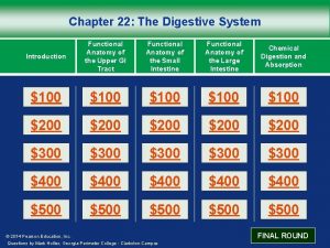 Chapter 22 The Digestive System Introduction Functional Anatomy