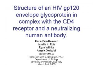 Structure of an HIV gp 120 envelope glycoprotein