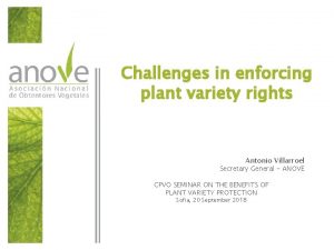 Challenges in enforcing plant variety rights Antonio Villarroel