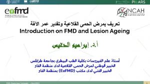 FMD Awareness Campaign Libya 2020 FMD History in