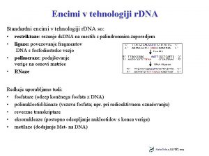 Encimi v tehnologiji r DNA Standardni encimi v