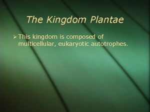 The Kingdom Plantae This kingdom is composed of