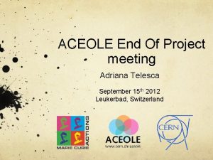 ACEOLE End Of Project meeting Adriana Telesca September