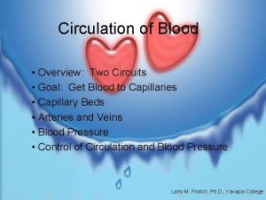 Circulation of Blood Overview Two Circuits Goal Get