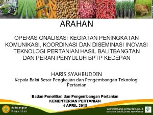 ARAHAN OPERASIONALISASI KEGIATAN PENINGKATAN KOMUNIKASI KOORDINASI DAN DISEMINASI