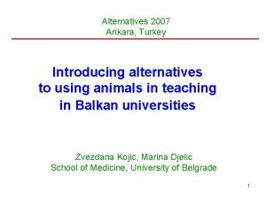 Alternatives 2007 Ankara Turkey Introducing alternatives to using