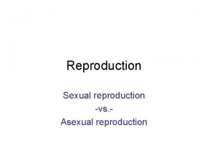 Reproduction Sexual reproduction vs Asexual reproduction Reproduction The