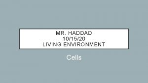 MR HADDAD 101520 LIVING ENVIRONMENT Cells TYPES OF