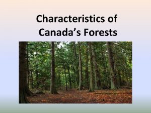 Characteristics of Canadas Forests Canadas Forests are both
