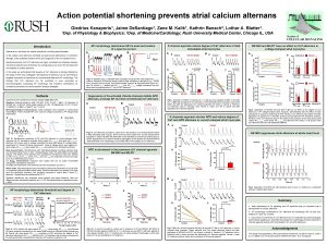 Action potential shortening prevents atrial calcium alternans B