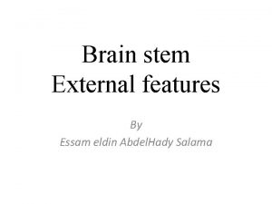 Brain stem External features By Essam eldin Abdel