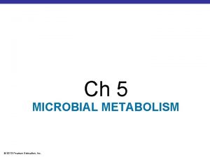 Ch 5 MICROBIAL METABOLISM 2013 Pearson Education Inc