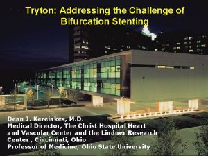 Tryton Addressing the Challenge of Bifurcation Stenting Dean