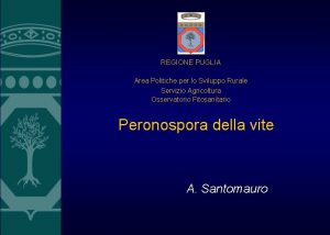 REGIONE PUGLIA Area Politiche per lo Sviluppo Rurale