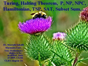 Turing Halting Theorem P NPC Hamiltonian TSP SAT