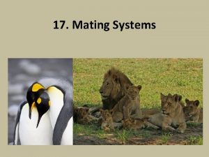 17 Mating Systems Mating systems Mating systems form