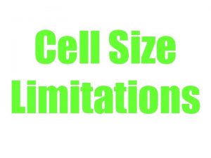 Cell size limitations