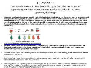 Question 1 Describe the Mountain Pine Beetle life