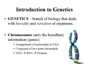 Introduction to Genetics GENETICS branch of biology that