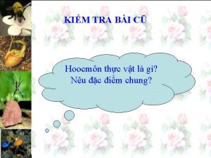 KIM TRA BI C Hoocmn thc vt l