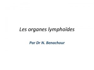 Les organes lymphodes Par Dr N Benachour Les