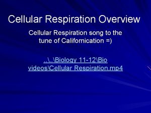 Cellular respiration song