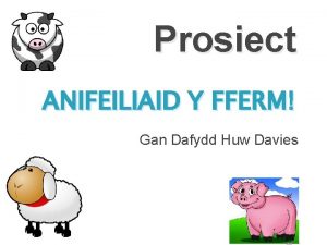 Prosiect ANIFEILIAID Y FFERM Gan Dafydd Huw Davies