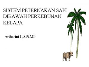 SISTEM PETERNAKAN SAPI DIBAWAH PERKEBUNAN KELAPA Artharini I