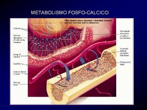 Sintomi menopausa a 46 anni