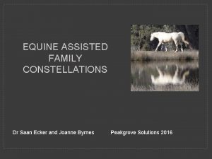 EQUINE ASSISTED FAMILY CONSTELLATIONS Dr Saan Ecker and