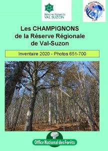 Les CHAMPIGNONS de la Rserve Rgionale de ValSuzon