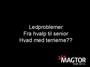 Ledproblemer Fra hvalp til senior Hvad med terrierne