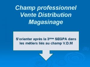 Champ professionnel Vente Distribution Magasinage Sorienter aprs la