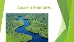 Amazon Rainforest The Amazon Rainforest The Amazon rainforest