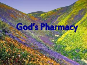 Gods Pharmacy Its been said that God first